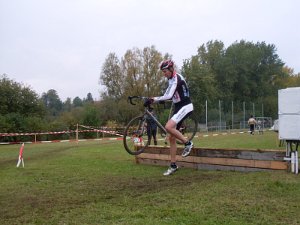 Dassow Cross-Cup 377